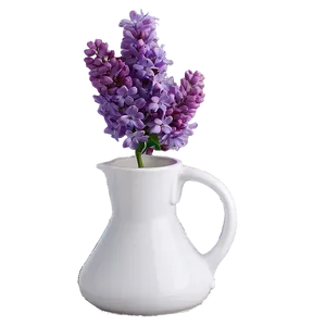 Sunny Lilac PNG 06122024