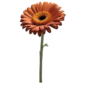 Sunny Orange Gerbera PNG Vdv54 PNG