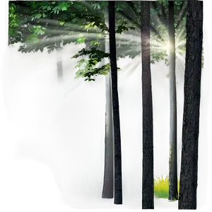 Sunrays In Forest Scene Png 06272024 PNG image