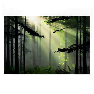 Sunrays In Misty Forest Png Jcd PNG image