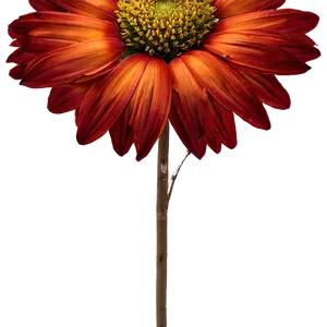 "sunrise Blooms: Warm Flower PNG" B