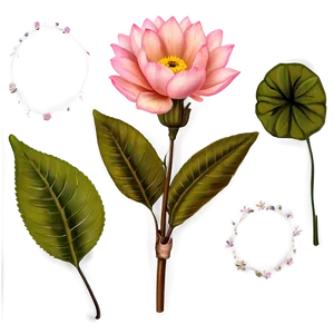 "sunrise Blooms: Warm Flower PNG" D