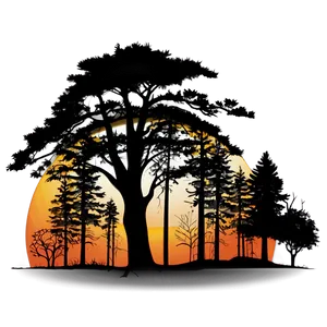 Sunrise Forest Silhouette PNG Ans51 PNG