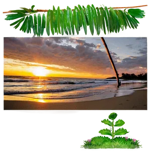 Sunrise Memories Png Tfc PNG image