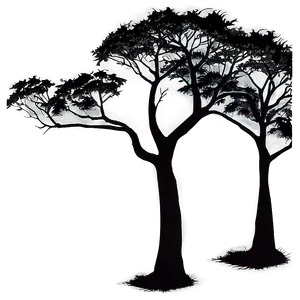 Sunrise Tree Outline PNG Buc PNG