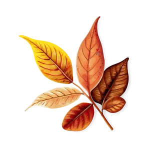 Sunset Autumn Leaves PNG 05042024