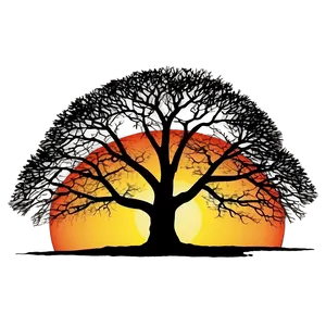 Sunset Behind Big Tree PNG 06262024