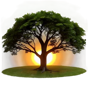 Sunset Behind Big Tree PNG Fpk