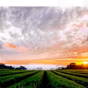 Sunset Over The Fields PNG 05212024