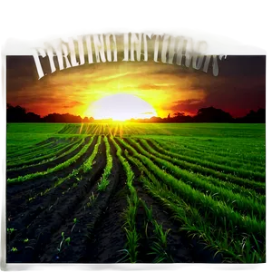 Sunset Over The Fields Png 4 PNG image