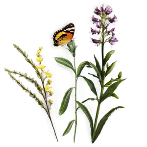 Sunset Over Wildflowers PNG 89