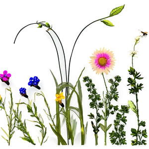 Sunset Over Wildflowers PNG Cbx13 PNG