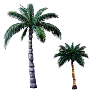 Sunset Palm Trees PNG Ssq