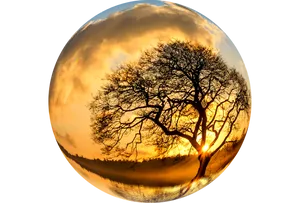 Sunset Silhouette Tree Crystal Ball