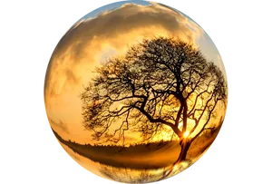 Sunset Silhouette Tree Sphere