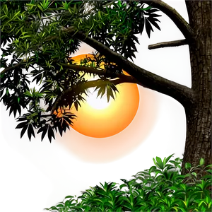 Sunset Through Trees Png 24 PNG image