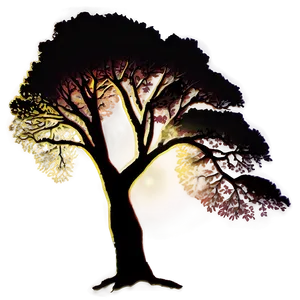 Sunset Tree Silhouette PNG 06122024
