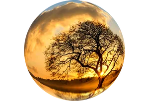 Sunset Tree Sphere Reflection.jpg