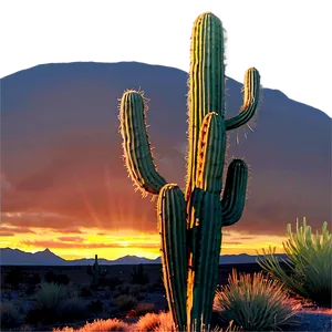 Sunset With Cactus PNG 05212024