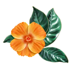 Sunshine Orange Petal PNG 06122024