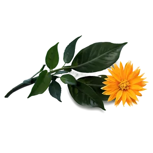 Sunshine Orange Petal PNG Hyd PNG