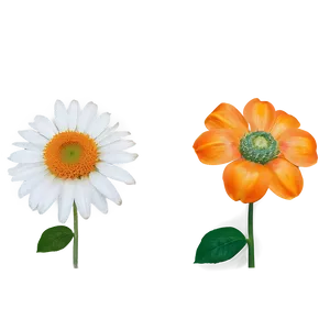 Sunshine Orange Petal PNG Nrn80 PNG