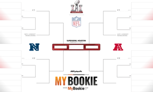 Super Bowl51 Houston Playoff Bracket2017 PNG image