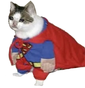 Super Cat_ Hero_ Meme.png PNG image