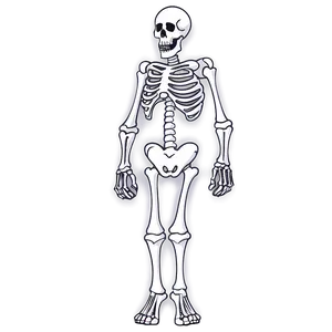 Superhero Skeleton Cartoon Png 90 PNG image