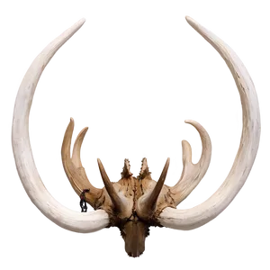 Surreal Deer Antler Creation PNG Fin PNG