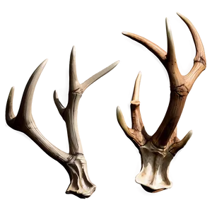 Surreal Deer Antler Creation PNG Vet PNG