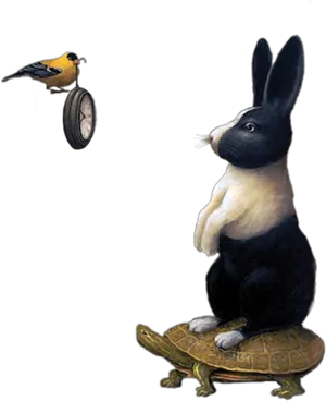 Surreal Rabbit Turtle Timepiece Bird PNG image