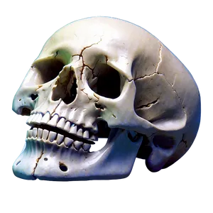 Surreal Skull Image Png D PNG image