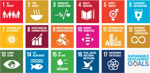 Sustainable Development Goals Icons PNG image