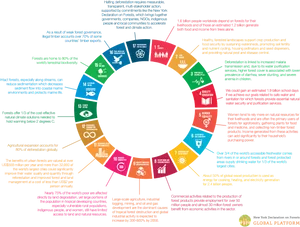 Sustainable Development Goals Interconnections PNG image