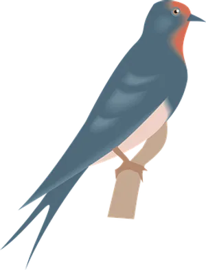 Swallow Illustrationon Black Background