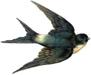 Swallowin Flight