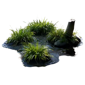 Swamp D PNG image