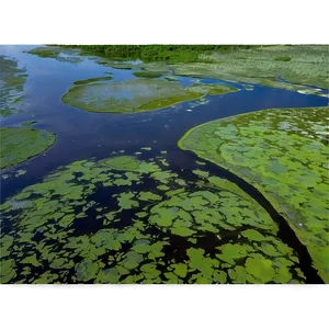 Swamp Marshlands Aerial Png 06122024 PNG image