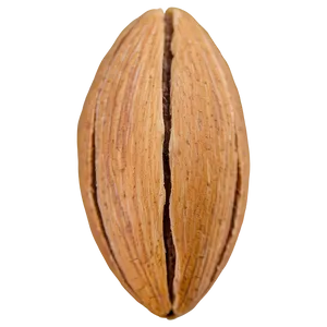 Sweet Almond PNG Llq