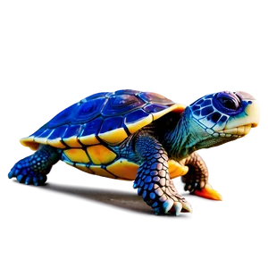 Sweet Baby Turtle PNG 06252024