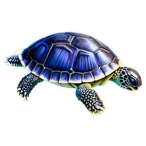 Sweet Baby Turtle Png 89 PNG image