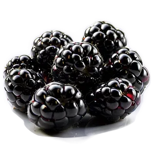 Sweet Blackberry PNG 50 PNG