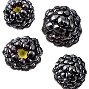 Sweet Blackberry PNG 55 PNG