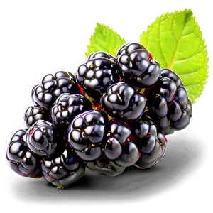Sweet Blackberry PNG 85 PNG