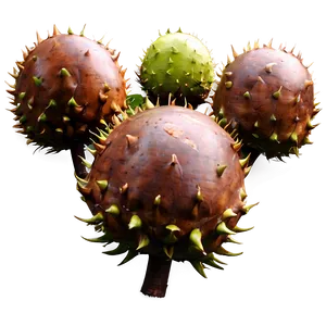 Sweet Chestnut PNG Vls7 PNG