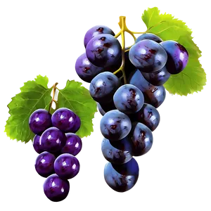Sweet Grapes PNG 05242024 PNG