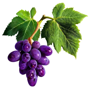Sweet Grapes PNG 49 PNG