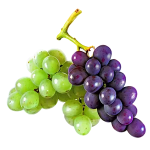 Sweet Grapes PNG 53 PNG