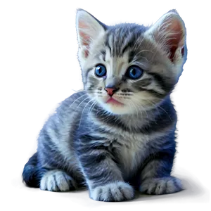 Sweet Kitten PNG 05232024